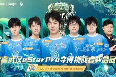 LGD大鹅剑心诸葛亮逆版本翻盘，战术智慧助团队取胜
